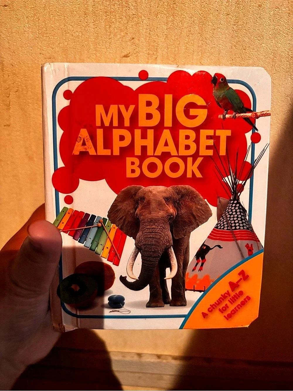 igloobooks My Big Alphabet Book Children's Learning Book Red & Blue